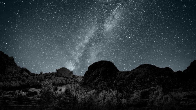 换帅一年，荣耀沦为 Others_占率_Omdia_市场